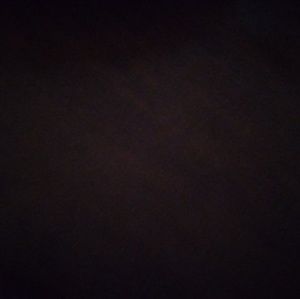 Meet your Posher, Larry